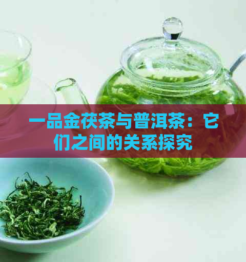 一品金茯茶与普洱茶：它们之间的关系探究