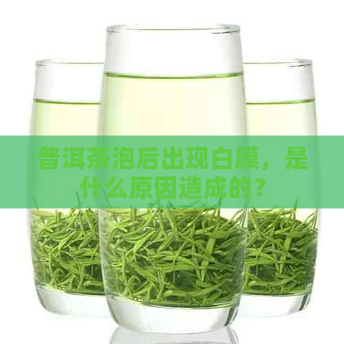 普洱茶泡后出现白膜，是什么原因造成的？