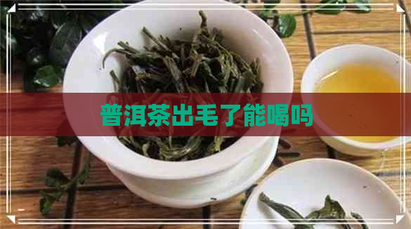 普洱茶出毛了能喝吗