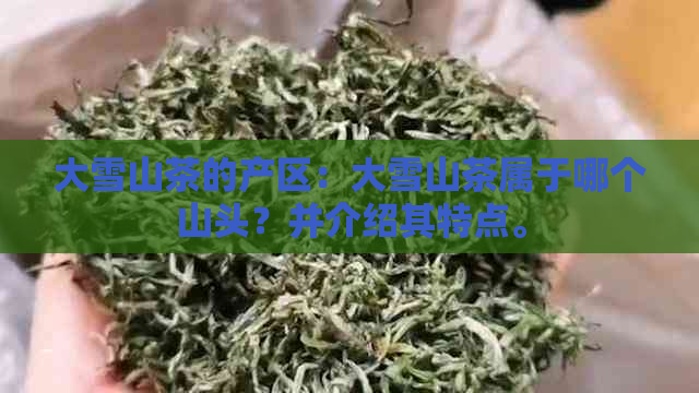 大雪山茶的产区：大雪山茶属于哪个山头？并介绍其特点。