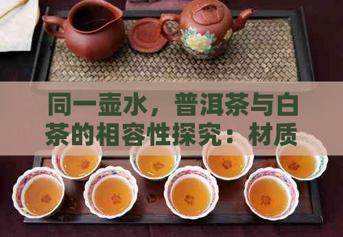 同一壶水，普洱茶与白茶的相容性探究：材质、口感与泡法的影响