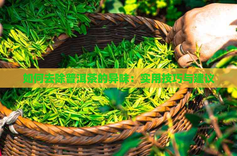 如何去除普洱茶的异味：实用技巧与建议