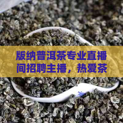 版纳普洱茶专业直播间招聘主播，热爱茶文化，拥抱互联网直播的你不可错过！