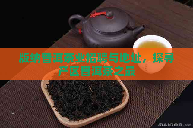 版纳普洱茶业招聘与地址，探寻产区普洱茶之最