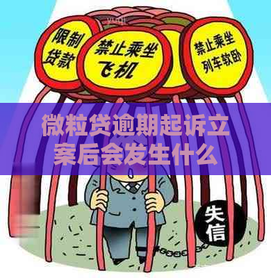 微粒贷逾期起诉立案后会发生什么