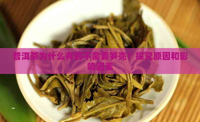 普洱茶为什么有的不需要笋壳？探究原因和影响因素