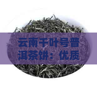 云南千叶号普洱茶饼：优质茶叶，土豪金款，云南千叶号茶业供应