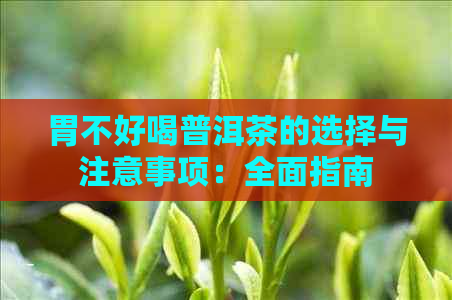 胃不好喝普洱茶的选择与注意事项：全面指南