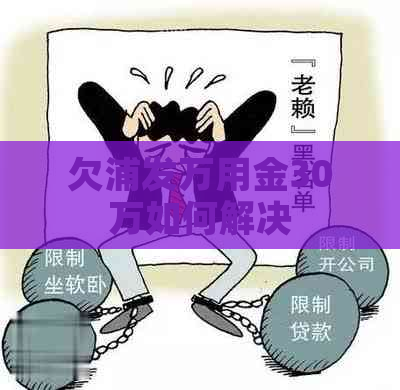 欠浦发万用金30万如何解决