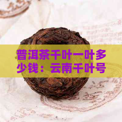 普洱茶千叶一叶多少钱：云南千叶号普洱茶饼价格及盒装信息