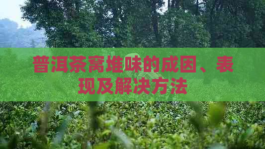 普洱茶窝堆味的成因、表现及解决方法