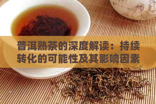 普洱熟茶的深度解读：持续转化的可能性及其影响因素