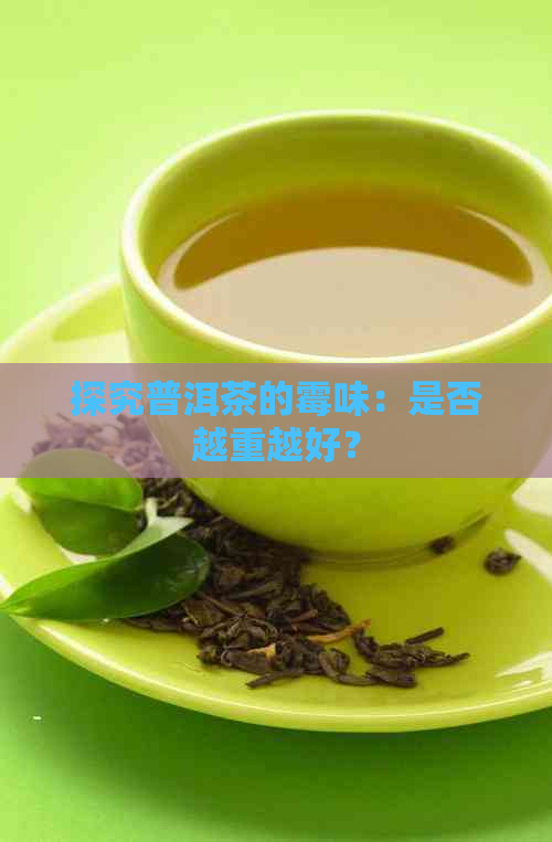 探究普洱茶的霉味：是否越重越好？