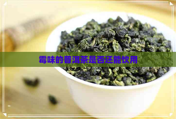 霉味的普洱茶是否还能饮用