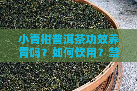 小青柑普洱茶功效养胃吗？如何饮用？禁忌和适用人群是什么？