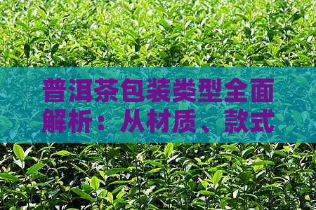 普洱茶包装类型全面解析：从材质、款式到设计，一次了解所有你想知道的！