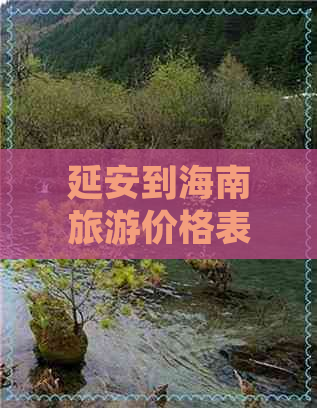 延安到海南旅游价格表