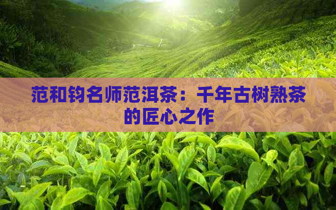 范和钧名师范洱茶：千年古树熟茶的匠心之作