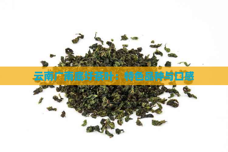 云南广南底圩茶叶：特色品种与口感