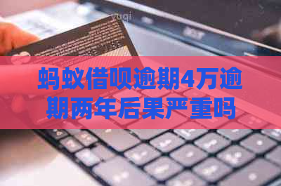 蚂蚁借呗逾期4万逾期两年后果严重吗