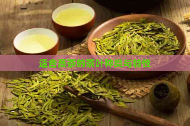 适合蒸茶的茶叶种类与特性