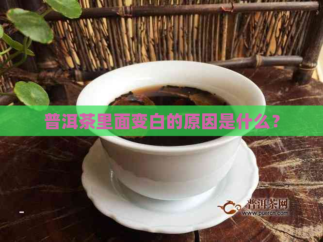 普洱茶里面变白的原因是什么？