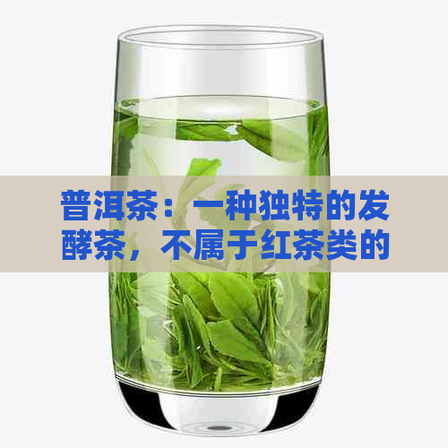 普洱茶：一种独特的发酵茶，不属于红茶类的原因解析