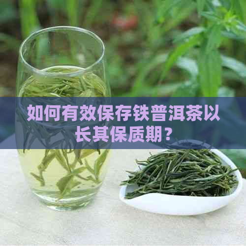 如何有效保存铁普洱茶以长其保质期？