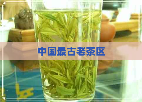 中国最古老茶区