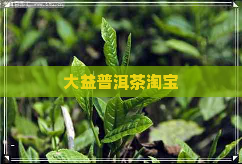 大益普洱茶淘宝