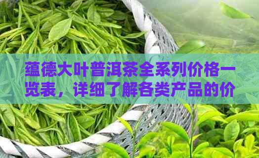 蕴德大叶普洱茶全系列价格一览表，详细了解各类产品的价格及特点