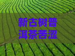 新古树普洱茶苦涩味道的原因与品质分析