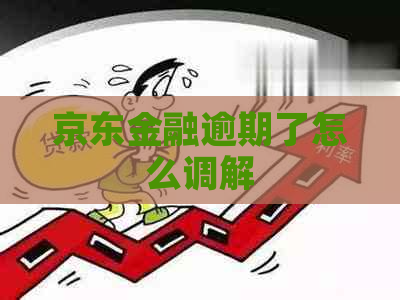 京东金融逾期了怎么调解