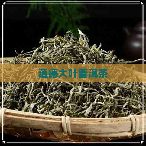 蕴德大叶普洱茶