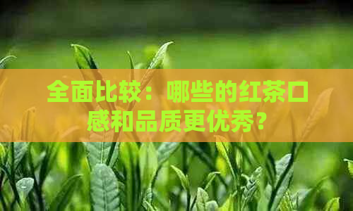 全面比较：哪些的红茶口感和品质更优秀？