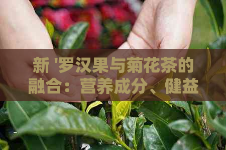 新 '罗汉果与菊花茶的融合：营养成分、健益处及独特功效探讨'