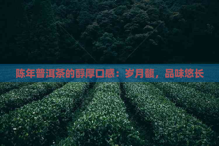 陈年普洱茶的醇厚口感：岁月馥，品味悠长