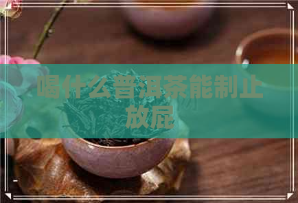 喝什么普洱茶能制止放屁