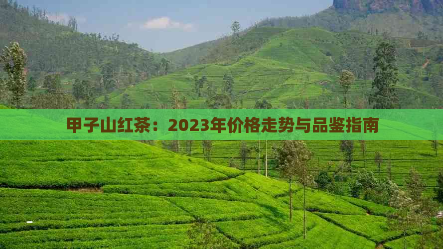 甲子山红茶：2023年价格走势与品鉴指南