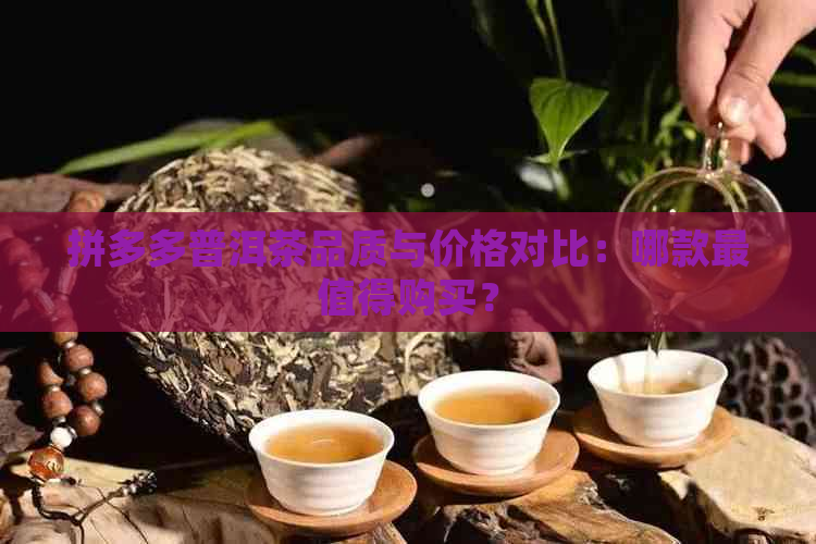 拼多多普洱茶品质与价格对比：哪款最值得购买？