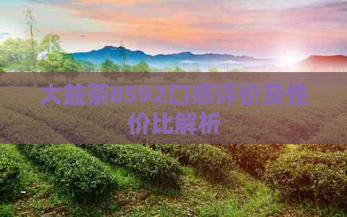 大益茶8592口感评价及性价比解析