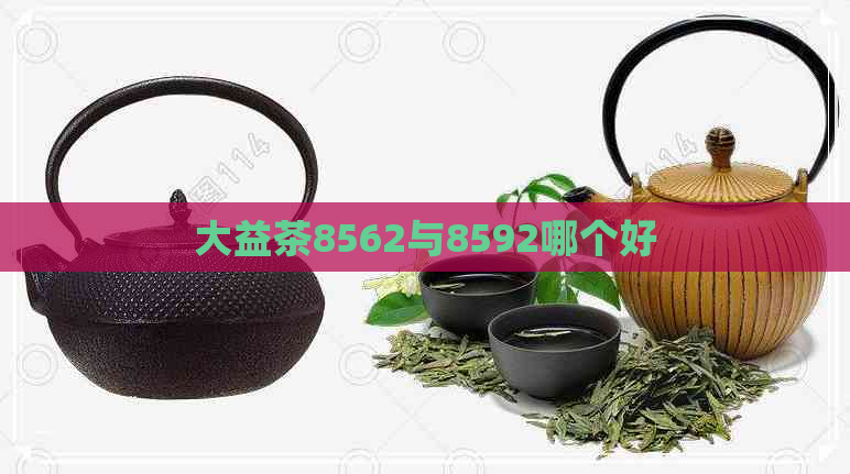 大益茶8562与8592哪个好