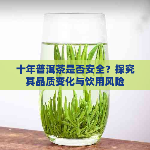 十年普洱茶是否安全？探究其品质变化与饮用风险