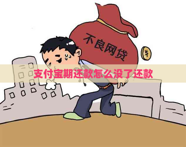 支付宝期还款怎么没了还款