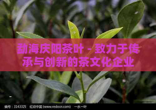 勐海庆阳茶叶 - 致力于传承与创新的茶文化企业