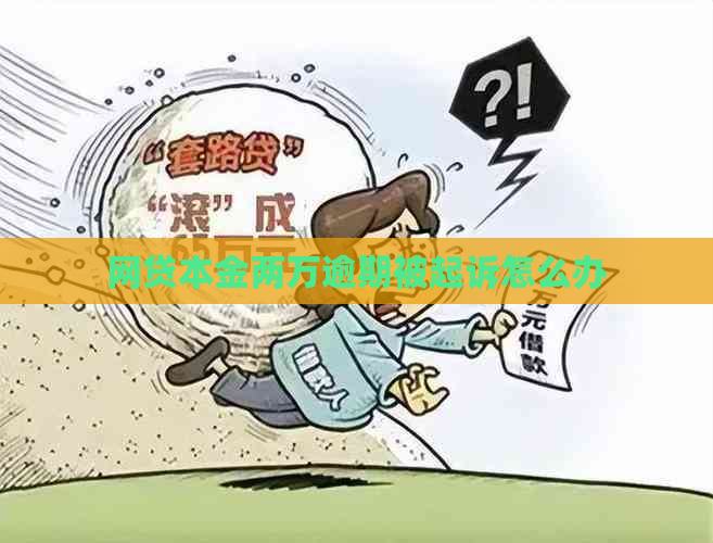 网贷本金两万逾期被起诉怎么办