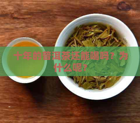 十年的普洱茶还能喝吗？为什么呢？