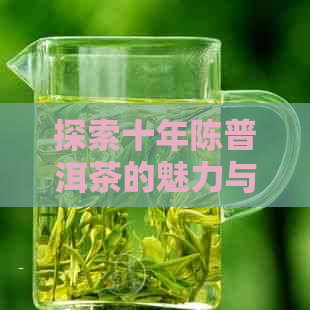 探索十年陈普洱茶的魅力与品质：口感变化与品鉴指南