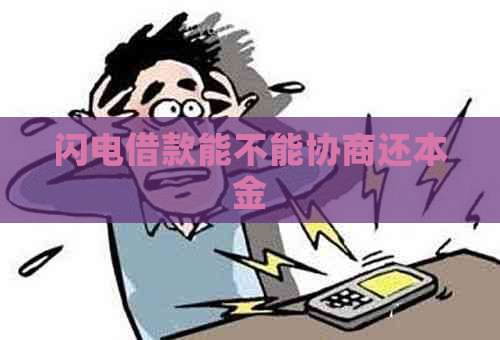 闪电借款能不能协商还本金