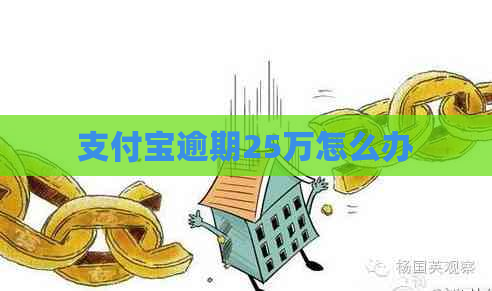 支付宝逾期25万怎么办